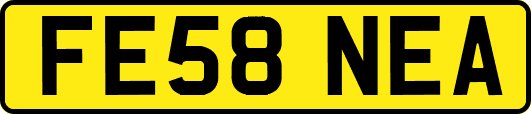 FE58NEA