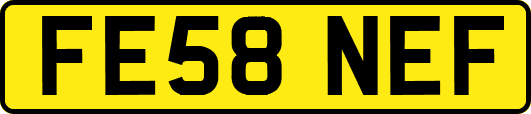 FE58NEF