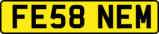 FE58NEM