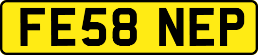 FE58NEP
