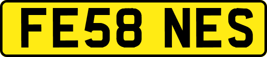 FE58NES