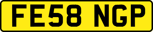 FE58NGP