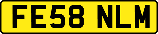 FE58NLM