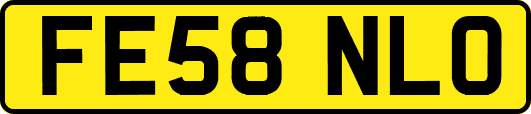 FE58NLO
