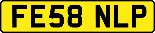FE58NLP