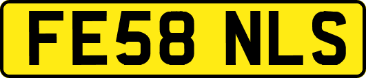 FE58NLS