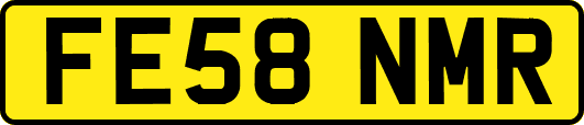FE58NMR