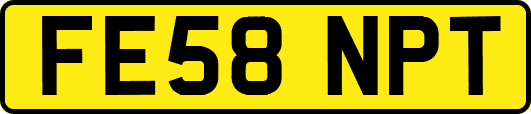 FE58NPT
