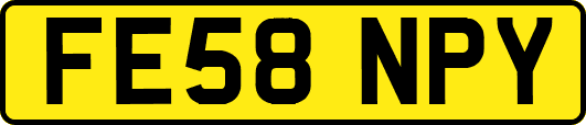 FE58NPY