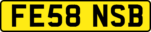 FE58NSB