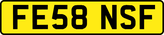 FE58NSF