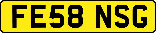FE58NSG