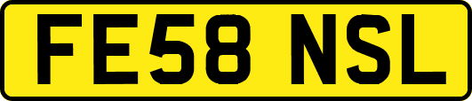 FE58NSL