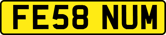 FE58NUM