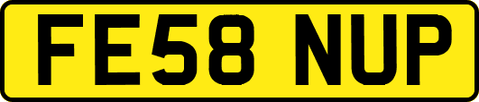 FE58NUP