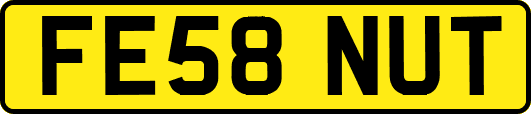FE58NUT