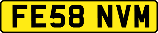 FE58NVM