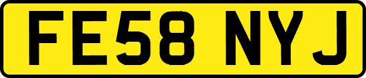 FE58NYJ