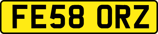 FE58ORZ