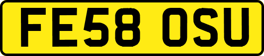 FE58OSU