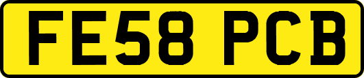 FE58PCB