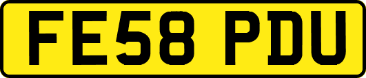 FE58PDU