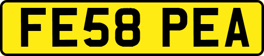 FE58PEA