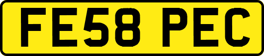 FE58PEC