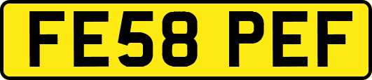 FE58PEF