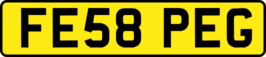 FE58PEG
