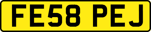 FE58PEJ