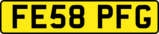 FE58PFG