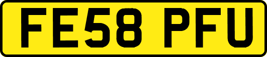 FE58PFU