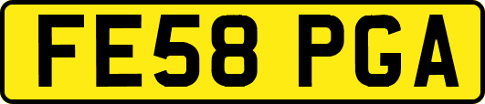 FE58PGA