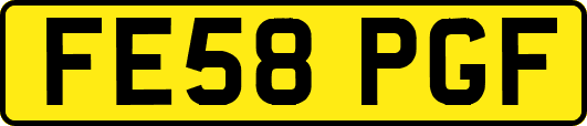 FE58PGF