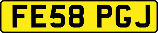 FE58PGJ