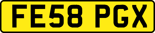FE58PGX
