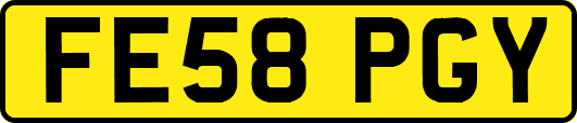FE58PGY
