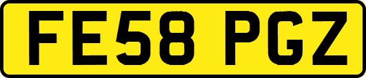 FE58PGZ