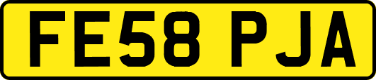 FE58PJA