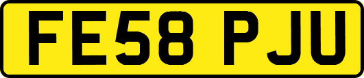 FE58PJU