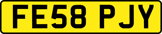 FE58PJY