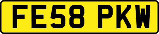 FE58PKW