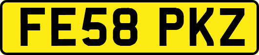 FE58PKZ