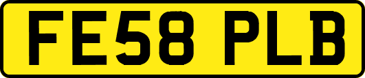 FE58PLB