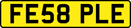 FE58PLE