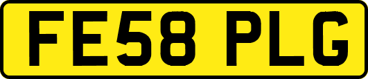 FE58PLG