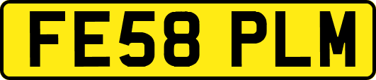 FE58PLM
