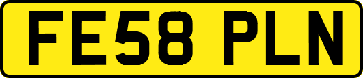 FE58PLN