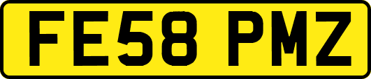 FE58PMZ